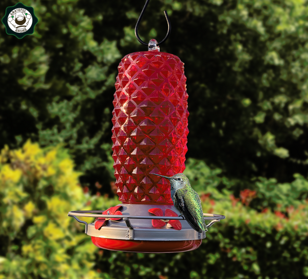 Attract Hummingbirds with a Beautiful and Unique Hummingbird Feeder