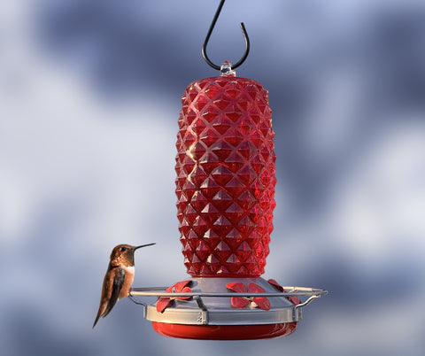 Making Your Own Hummingbird Nectar