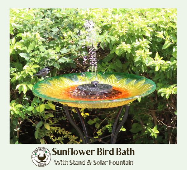 Attracting Birds with Beautiful Hand Painted Glass Bird Bath