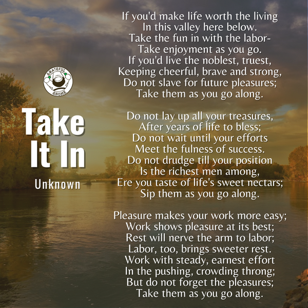 Inspirational Poems - Take It In