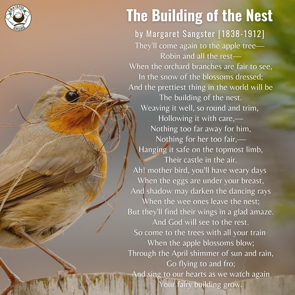 Bird Poems - The Building of the Nest