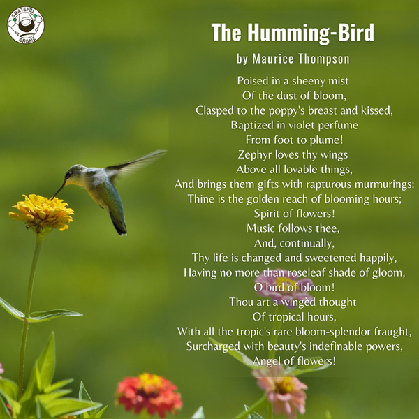 Bird Poems - The Humming-Bird
