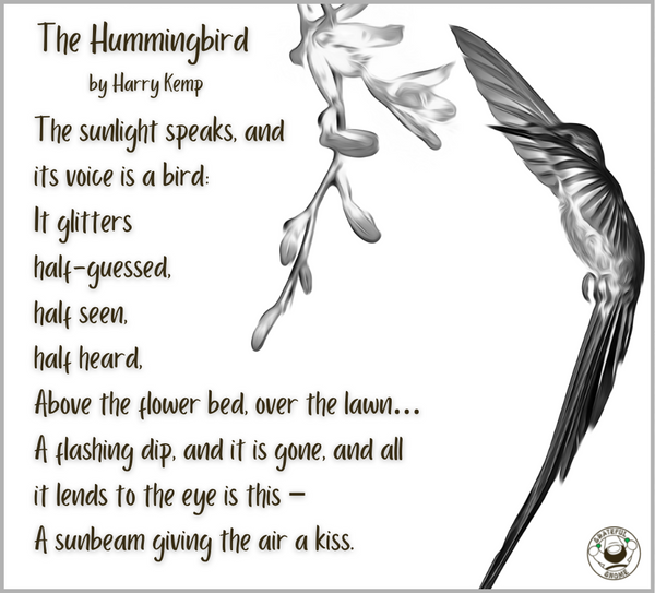 the-hummingbird