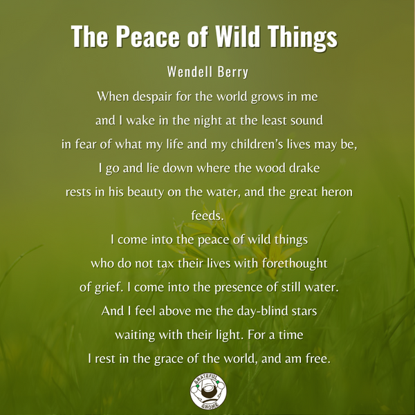 Life Poems - The Peace of Wild Things 
