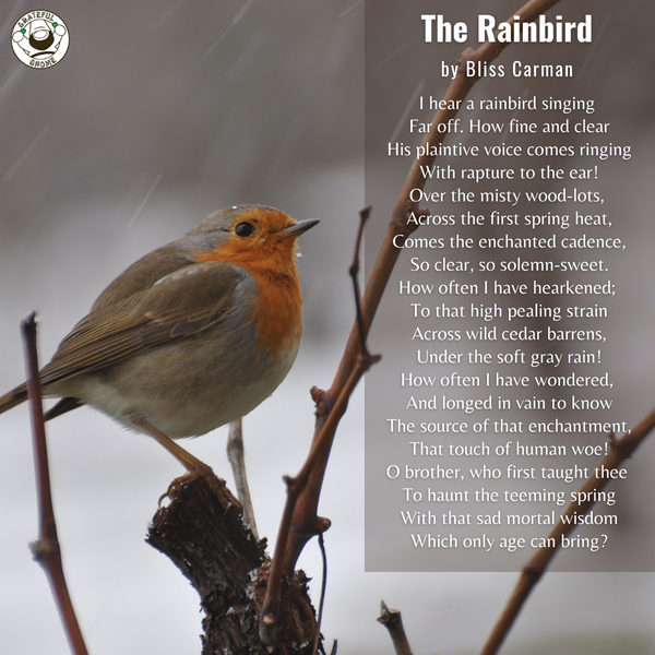 Bird Poems - The Rainbird