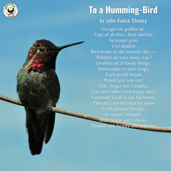 Bird Poems - To a Humming-Bird