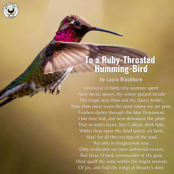 To a Ruby-Throated Humming-Bird