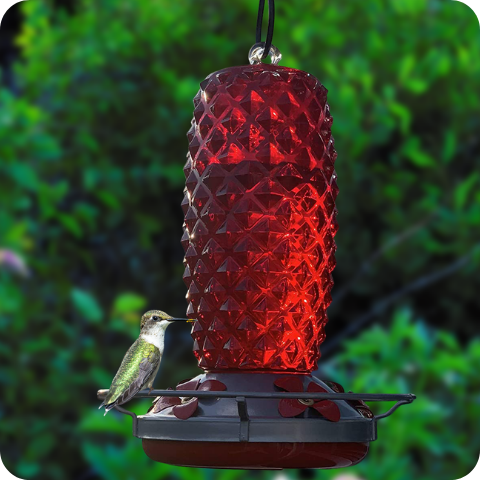 Types Of Hummingbird Feeders An Informative Guide