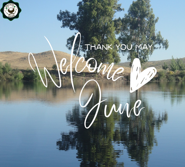 Welcome June!