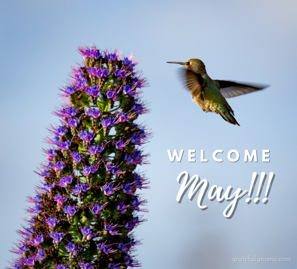 welcome-may