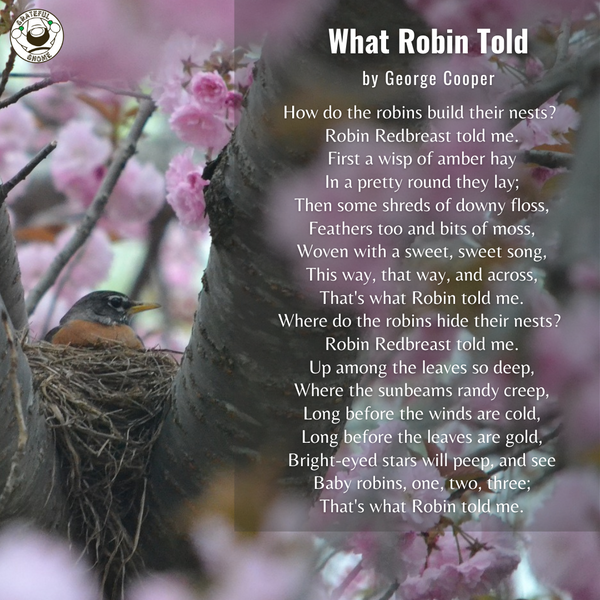 Bird Poems - What Robin Told