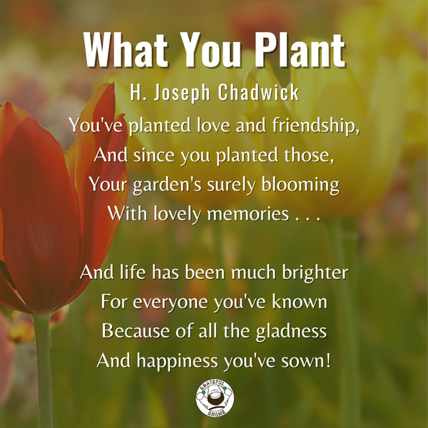 Inspirational Poems - What You Plant