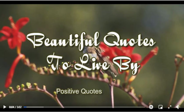 beautiful life quotes to live by