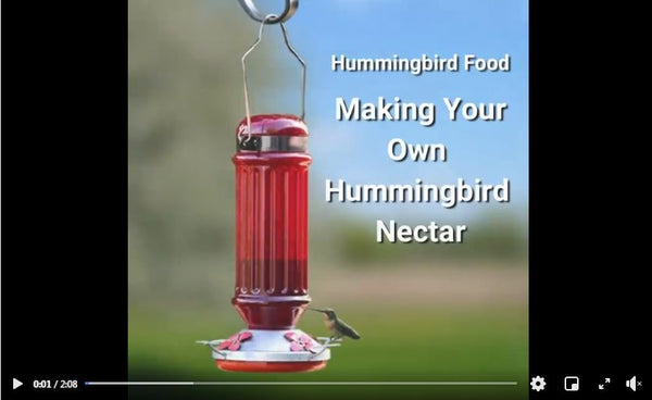 Hummingbird Food – Making Your Own Hummingbird Nectar