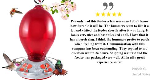 5 Star Review - Red Egg Hummingbird Feeder