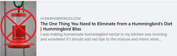 the-one-thing-you-need-to-eliminate-from-a-hummingbird's-diet