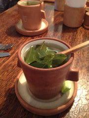 coca leaf tea for altitude sickness