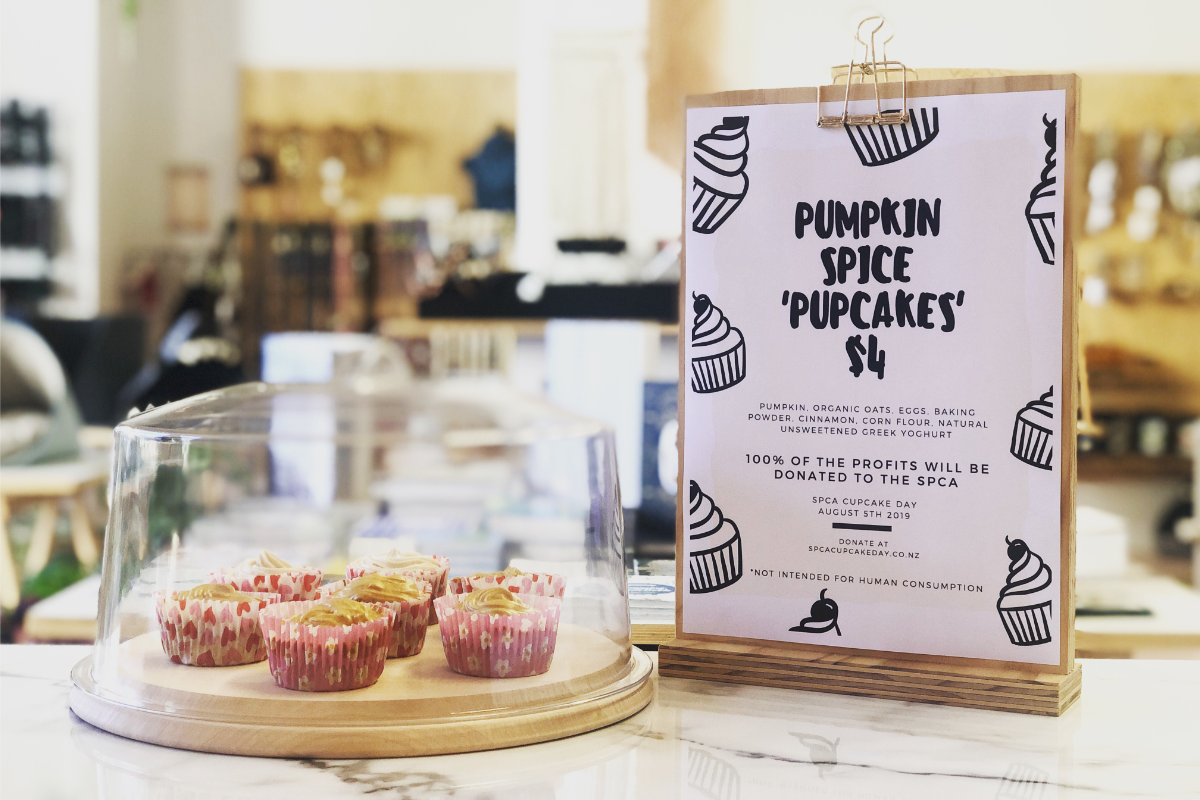 SPCA Cupcake Day 2019 | Pumpkin Spice Pupcakes | Smack Bang Blog