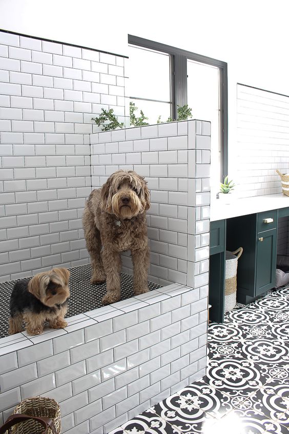 The House of Silver Lining | The Laundry/Dog Room
