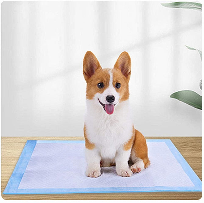 30 Counts Wee Wee Pads for Small Dogs Quick Absorb Puppy Pads Leak-Proof 6-Layer Pee Pads with Quick-Dry Surface for Training Dog