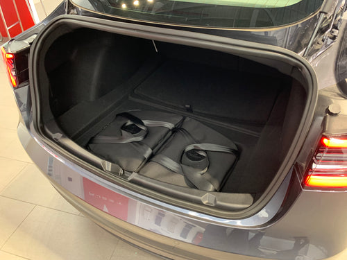 tesla luggage for sale