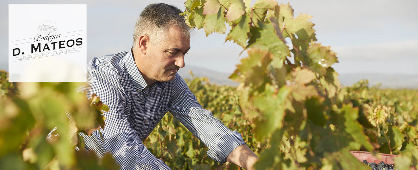 Bodegas D. Mateos