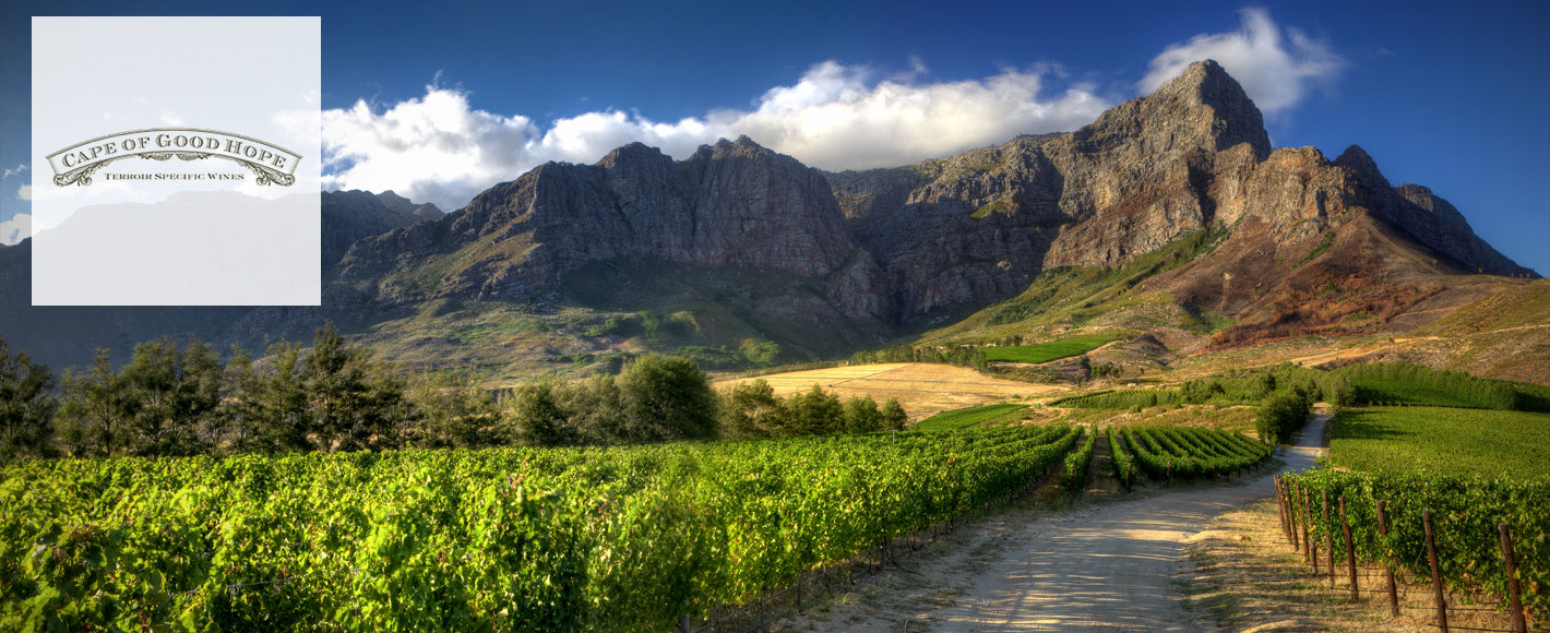 Cape of Good Hope Wines