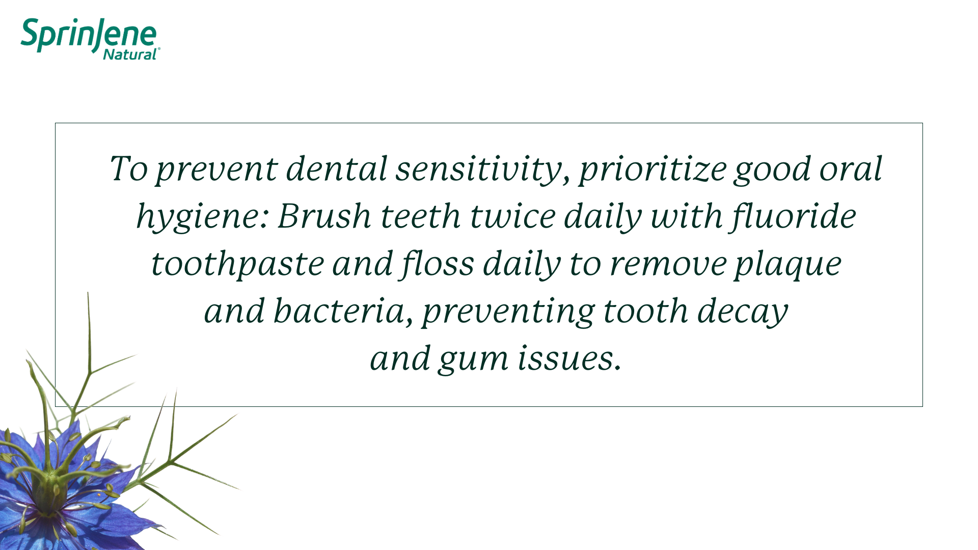 To prevent dental sensitivity, prioritize good oral hygiene: Brush teeth twice daily with fluoride toothpaste and floss daily to remove plaque and bacteria, preventing tooth decay and gum issues.