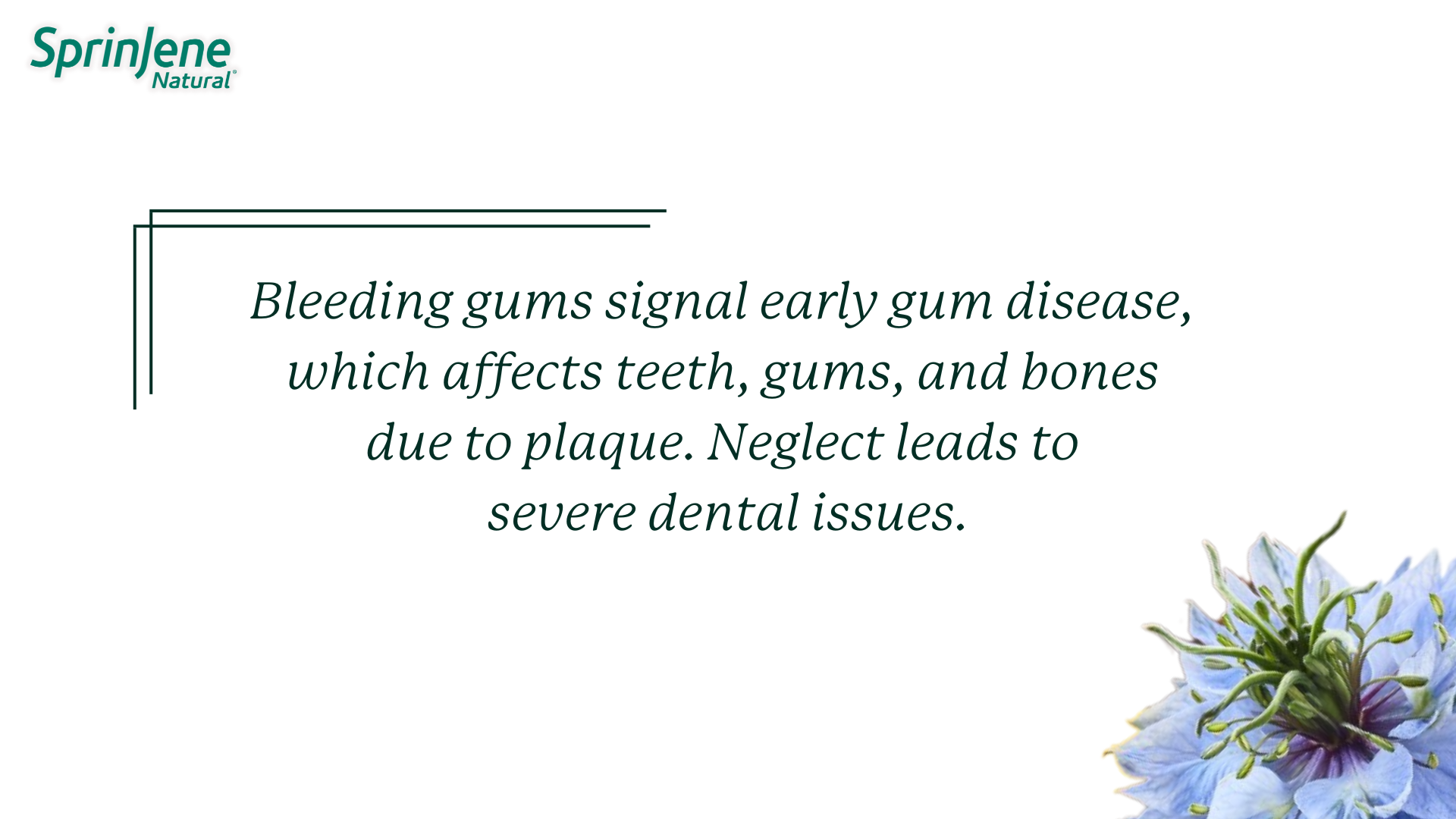 Bleeding gums signal early gum disease, which affects teeth, gums, and bones due to plaque. Neglect leads to severe dental issues.