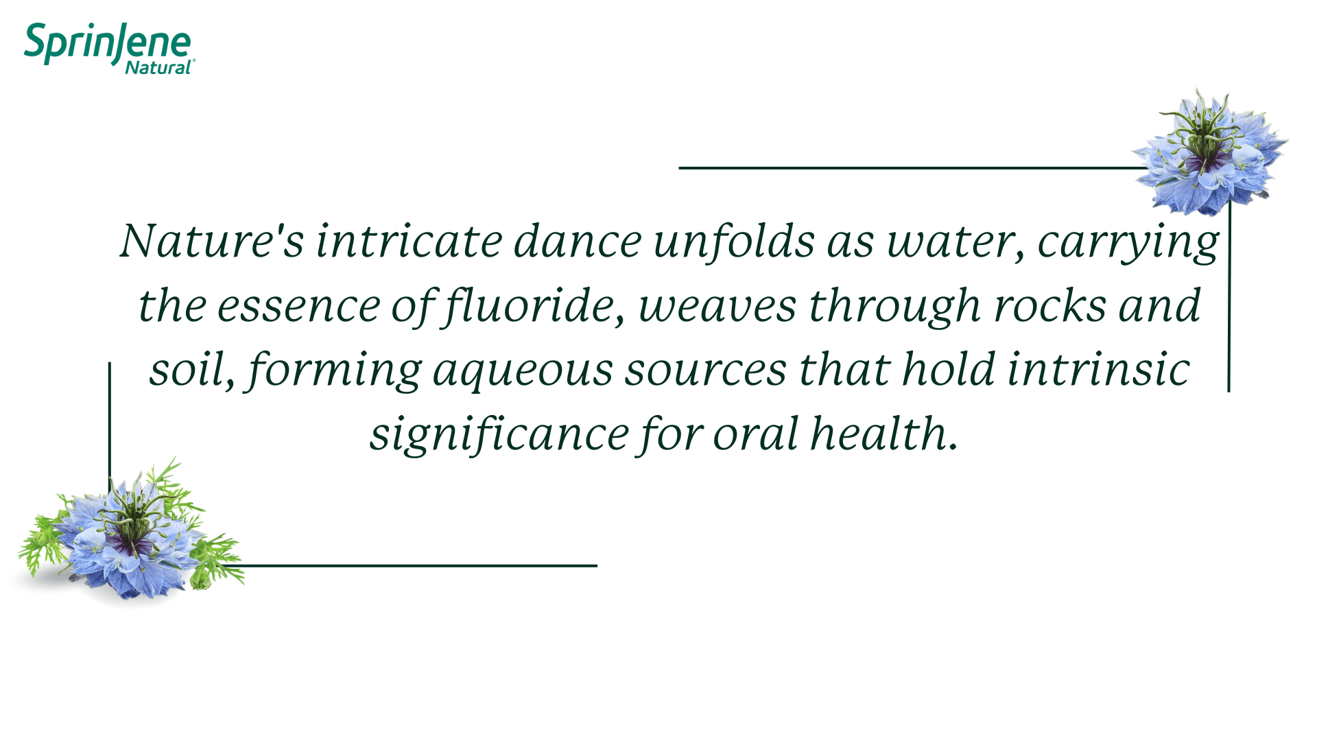 Nature's intricate dance unfolds as water, carrying the essence of fluoride, weaves through rocks and soil, forming aqueous sources that hold intrinsic significance for oral health.