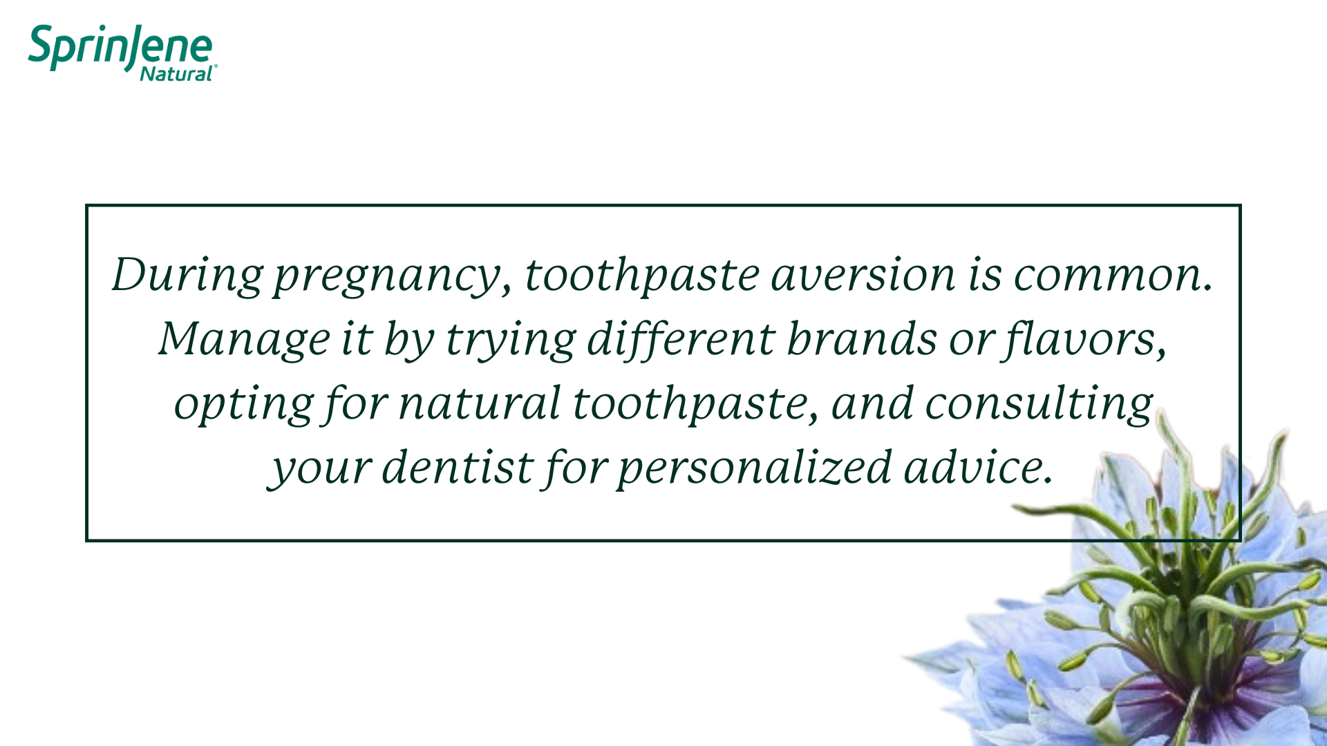 During pregnancy, toothpaste aversion is common. Manage it by trying different brands or flavors, opting for natural toothpaste, and consulting your dentist for personalized advice.