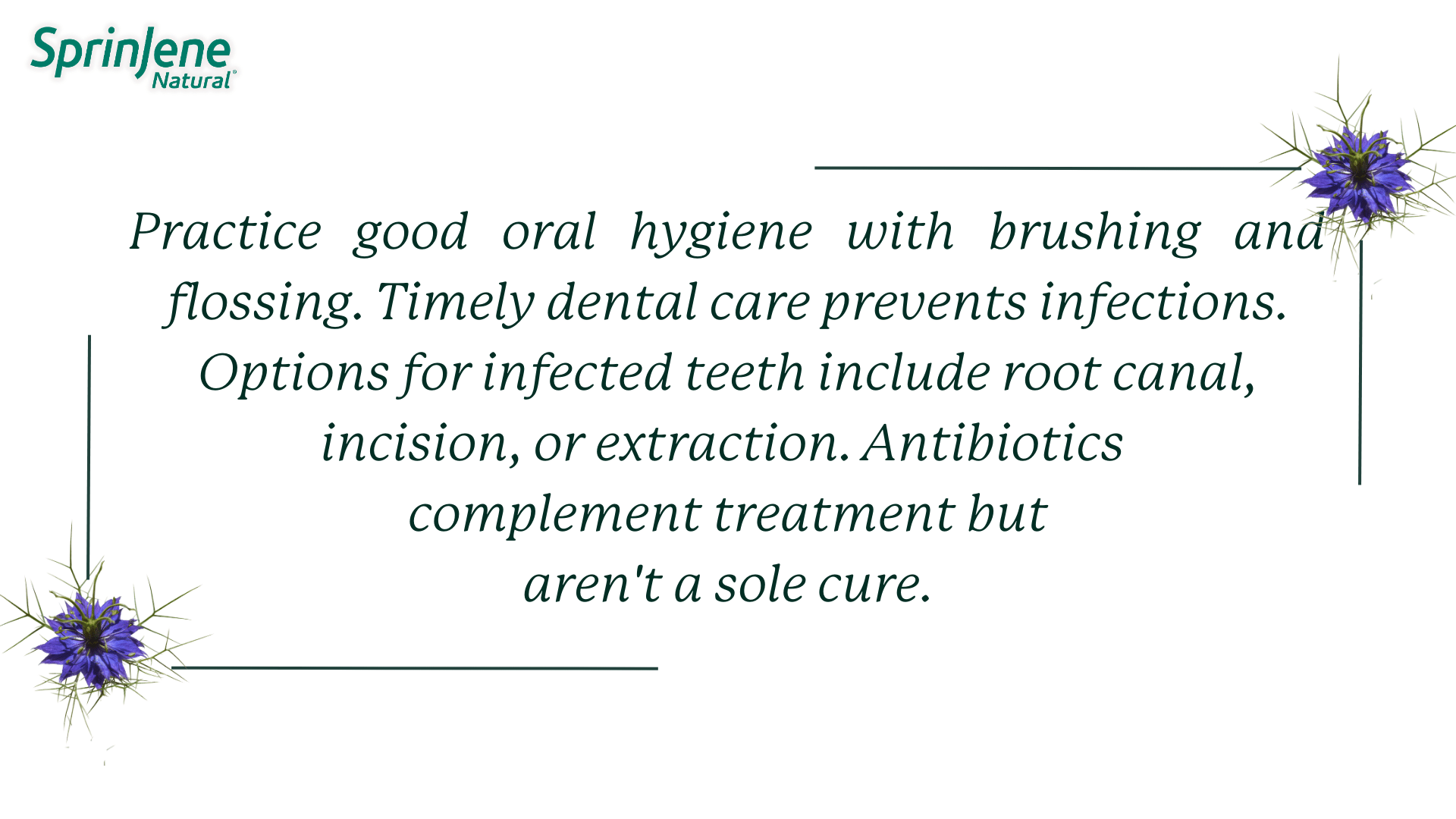 Practice   good   oral   hygiene   with   brushing   and flossing. Timely dental care prevents infections. Options for infected teeth include root canal, incision, or extraction. Antibiotics  complement treatment but aren't a sole cure.