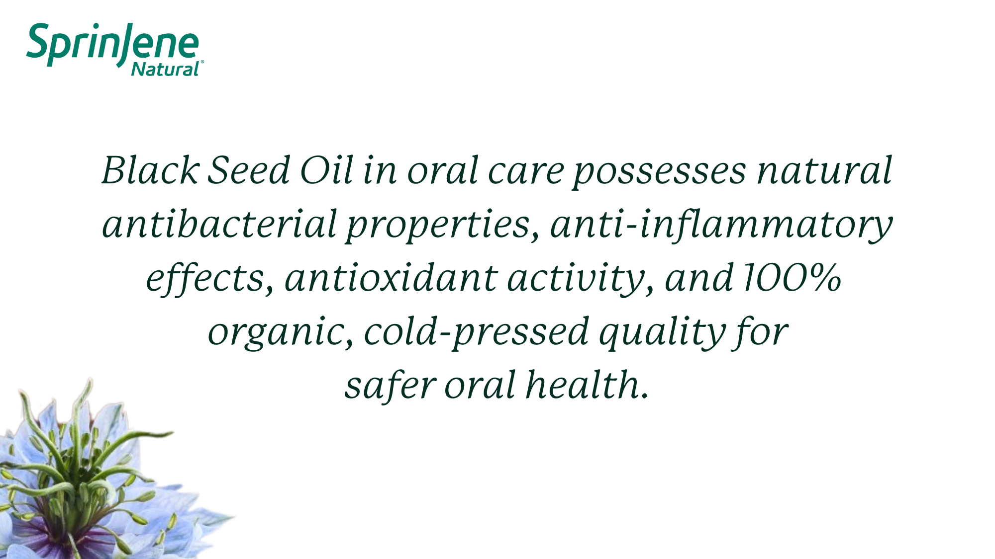 Black Seed Oil in oral care possesses natural antibacterial properties, anti-inflammatory effects, antioxidant activity, and 100%  organic, cold-pressed quality for safer oral health.