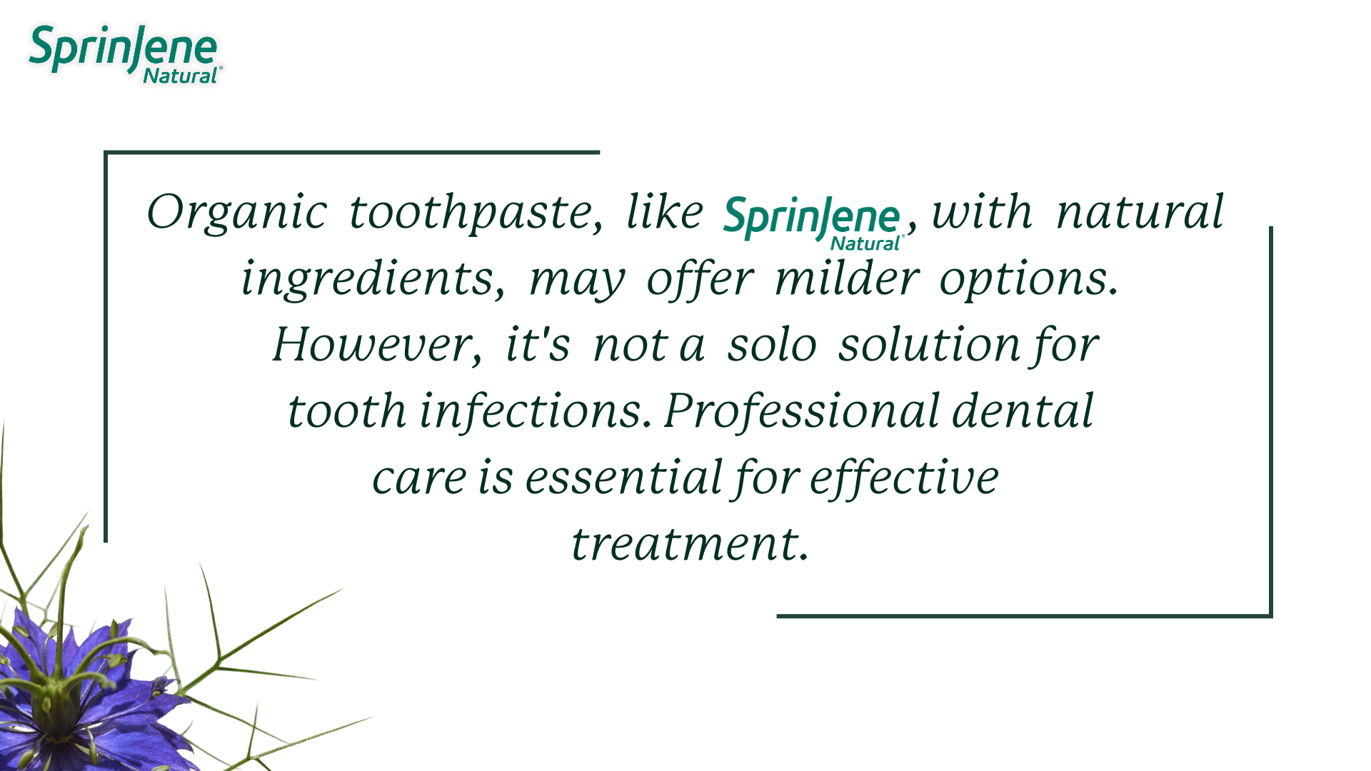 Organic  toothpaste,  like SprinJene Natural, with  natural ingredients,  may  offer  milder  options.  However,  it's  not a  solo  solution for  tooth infections. Professional dental care is essential for effective  treatment.