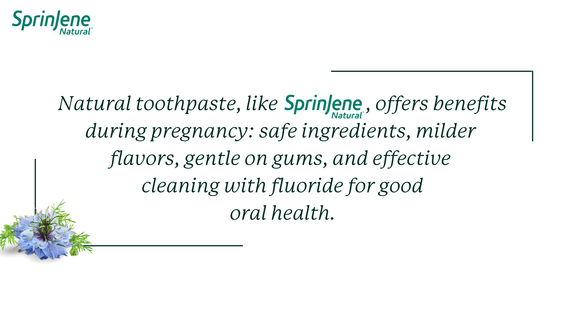 Natural toothpaste, like SprinJene Natural, offers benefits during pregnancy: safe ingredients, milder flavors, gentle on gums, and effective  cleaning with fluoride for good oral health.