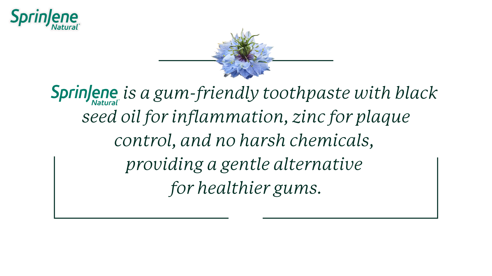 SprinJene Natural Toothpaste is a gum-friendly toothpaste with black seed oil for inflammation, zinc for plaque control, and no harsh chemicals, providing a gentle alternative for healthier gums.
