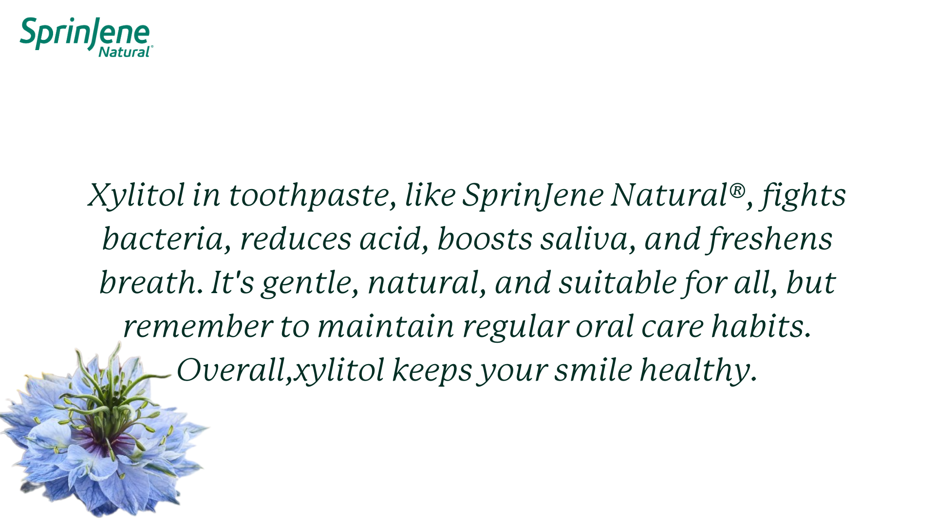 Enhancing Oral Health with Xylitol-Infused Toothpaste