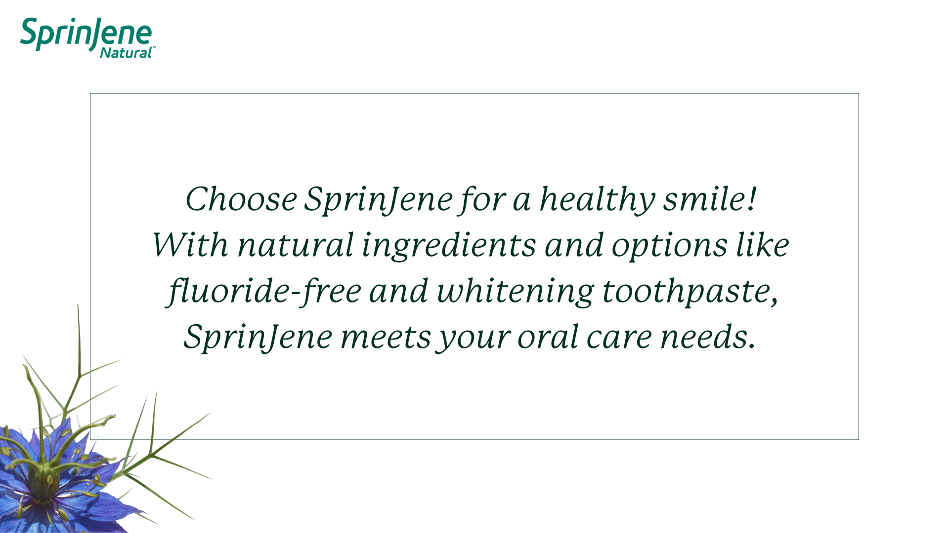 SprinJene Natural Toothpaste