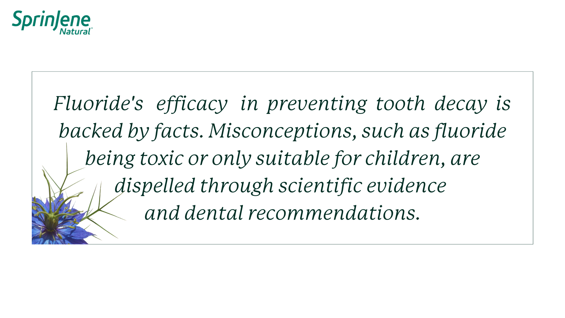 Fluoride toothpaste helps prevent tooth decay