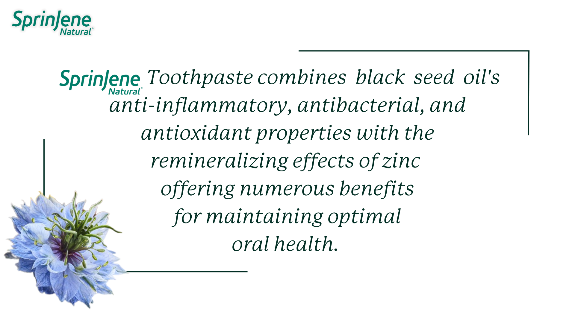 SprinJene Natural toothpastes combine the power of Black Seed Oil and Zinc