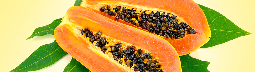 papaya extract skincare