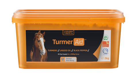 Turmeric for horses