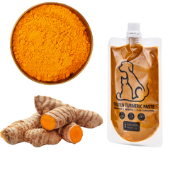 What are the benefits of turmeric