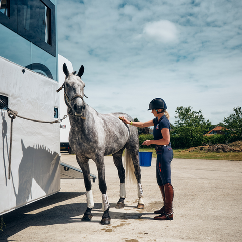 cooling your horse off