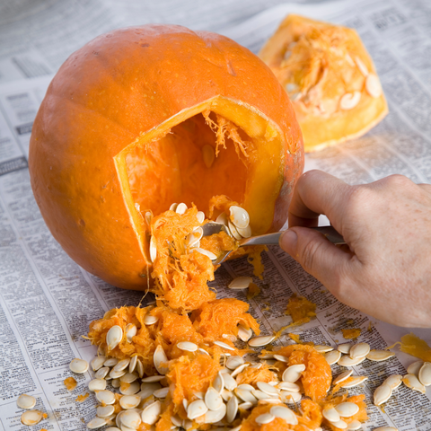 carving a pumpkin