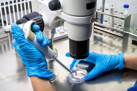 Microscope lens examining curcumin