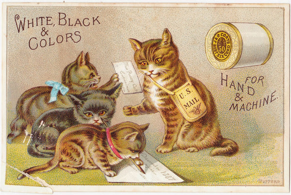 pussybow-cat-postcard