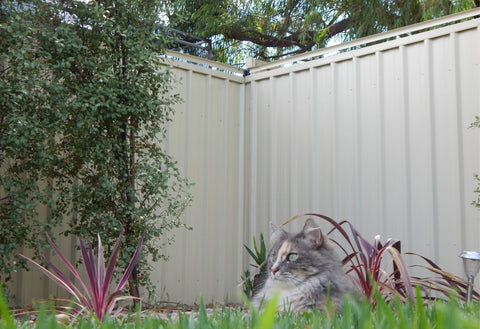 Spinning Paddle Cat-Proof Fence