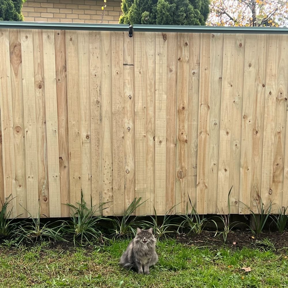 Diy oscillot deals cat fence