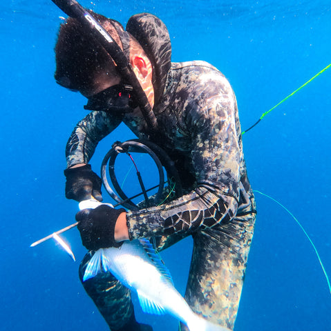 spearfishing photo in Hawaii